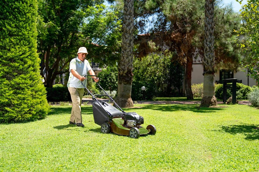 lawn mowers cordless