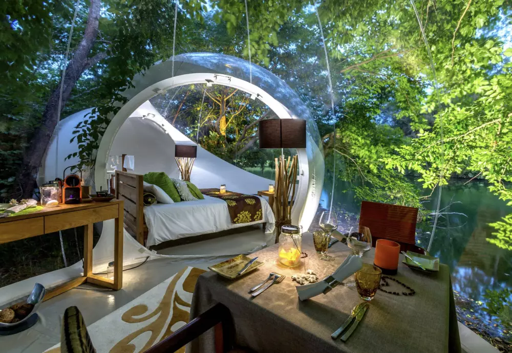 party bubble tent