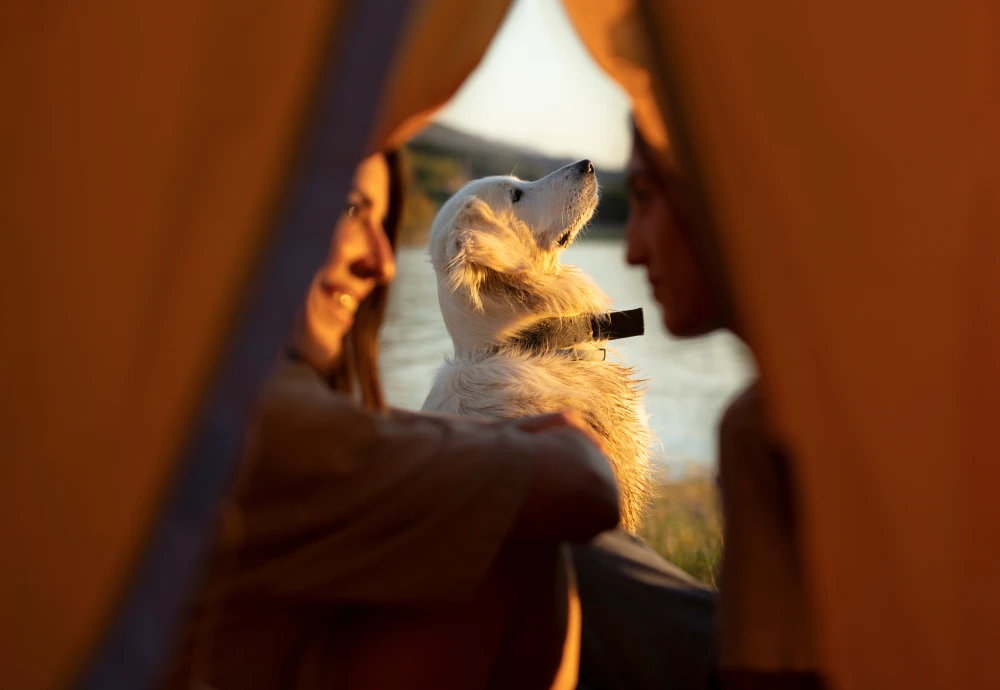 lightweight teepee tent