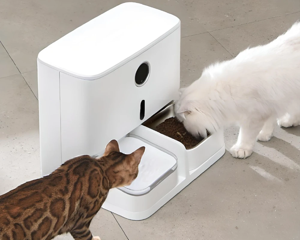 animal planet automatic pet feeder