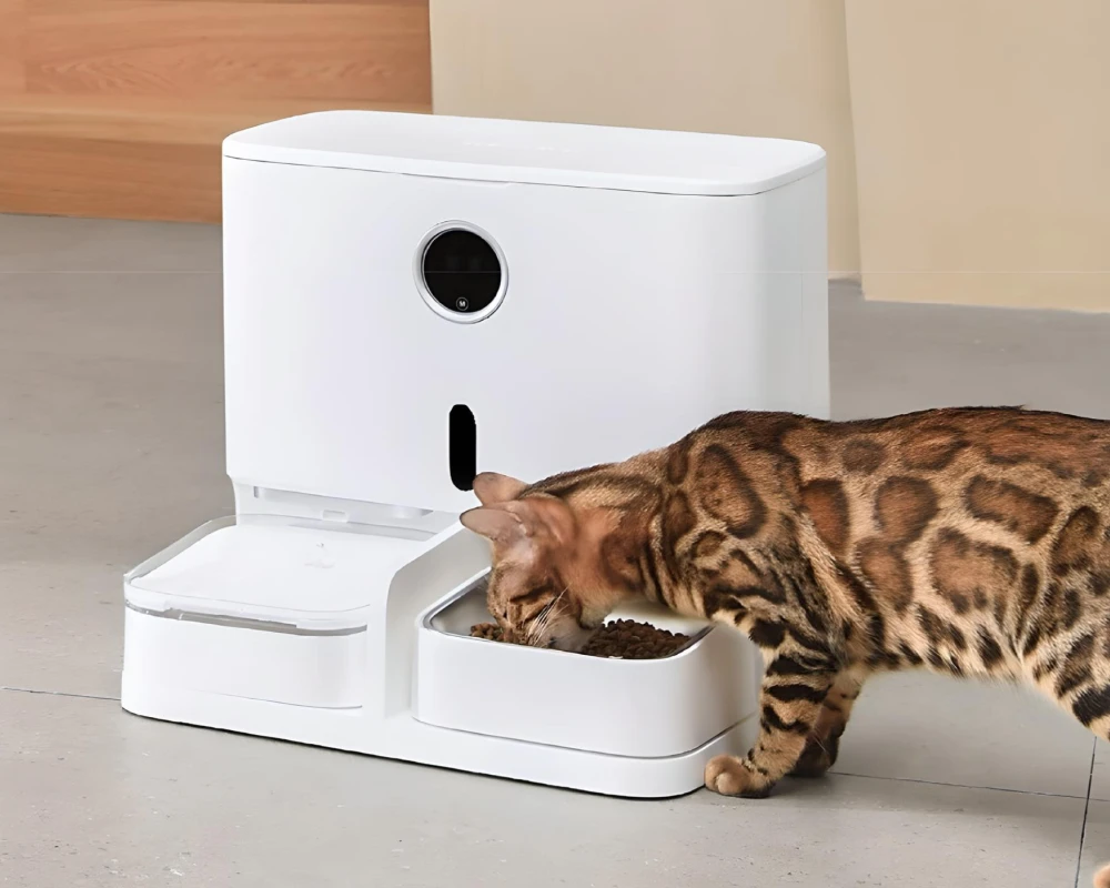 automatic cat feeder pets at home