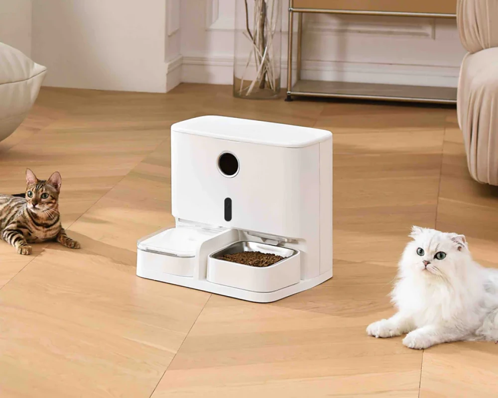 animal planet automatic pet feeder